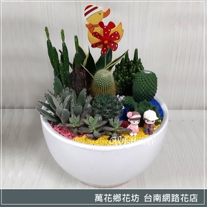 多肉植物盆景 吉祥花禮 開幕賀禮