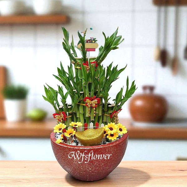 財源滾滾 開運竹 開幕賀禮 台南市花店