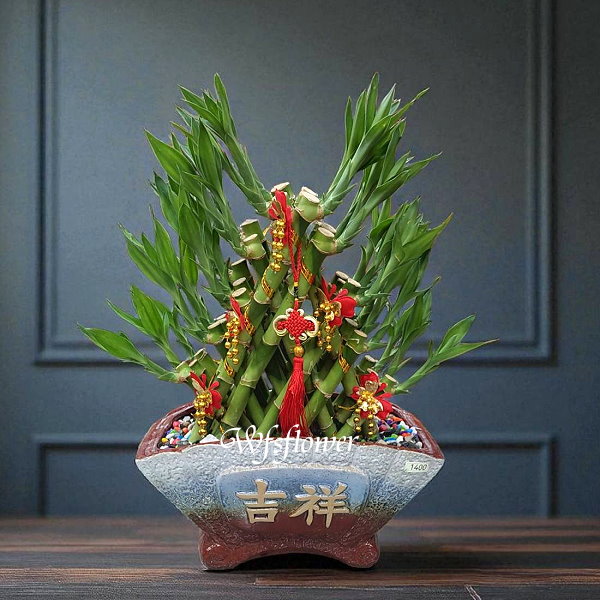 財源滾滾 開運竹 開幕賀禮 台南市花店