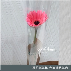 單朵太陽花