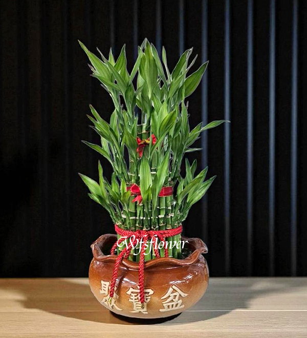 財源滾滾 開運竹 開幕賀禮 台南市花店