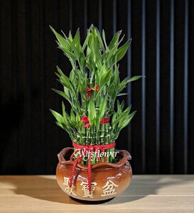 財源滾滾 開運竹 開幕賀禮 台南市花店