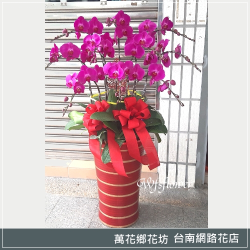 蝴蝶蘭組合盆景 鴻圖大展 廟會 開幕 台南市花店