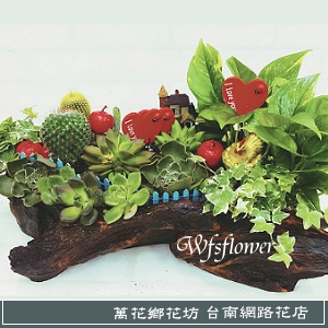 仙人掌 組合盆景